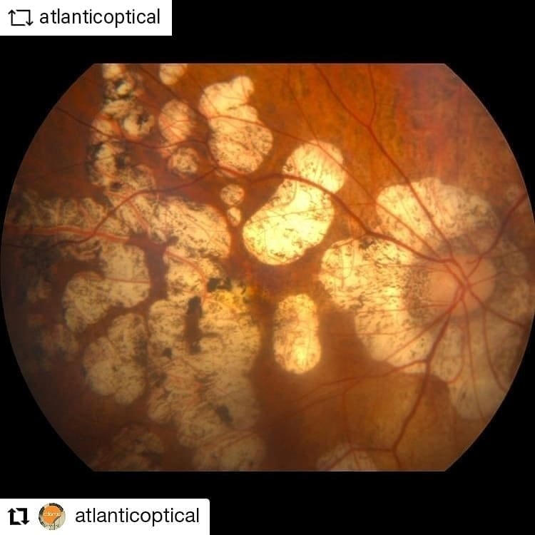 reina 4 186551467_4214301635313434_9144723448327363760_n